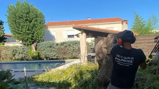 Mapiore : Mapiore sculpte votre paysage !